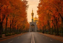 مشهد در فصل پاییز
